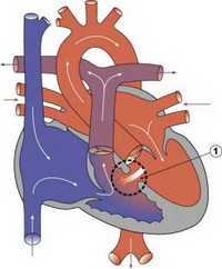 sait_dmpg_vsd