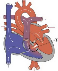 sait_dmpg_vsd